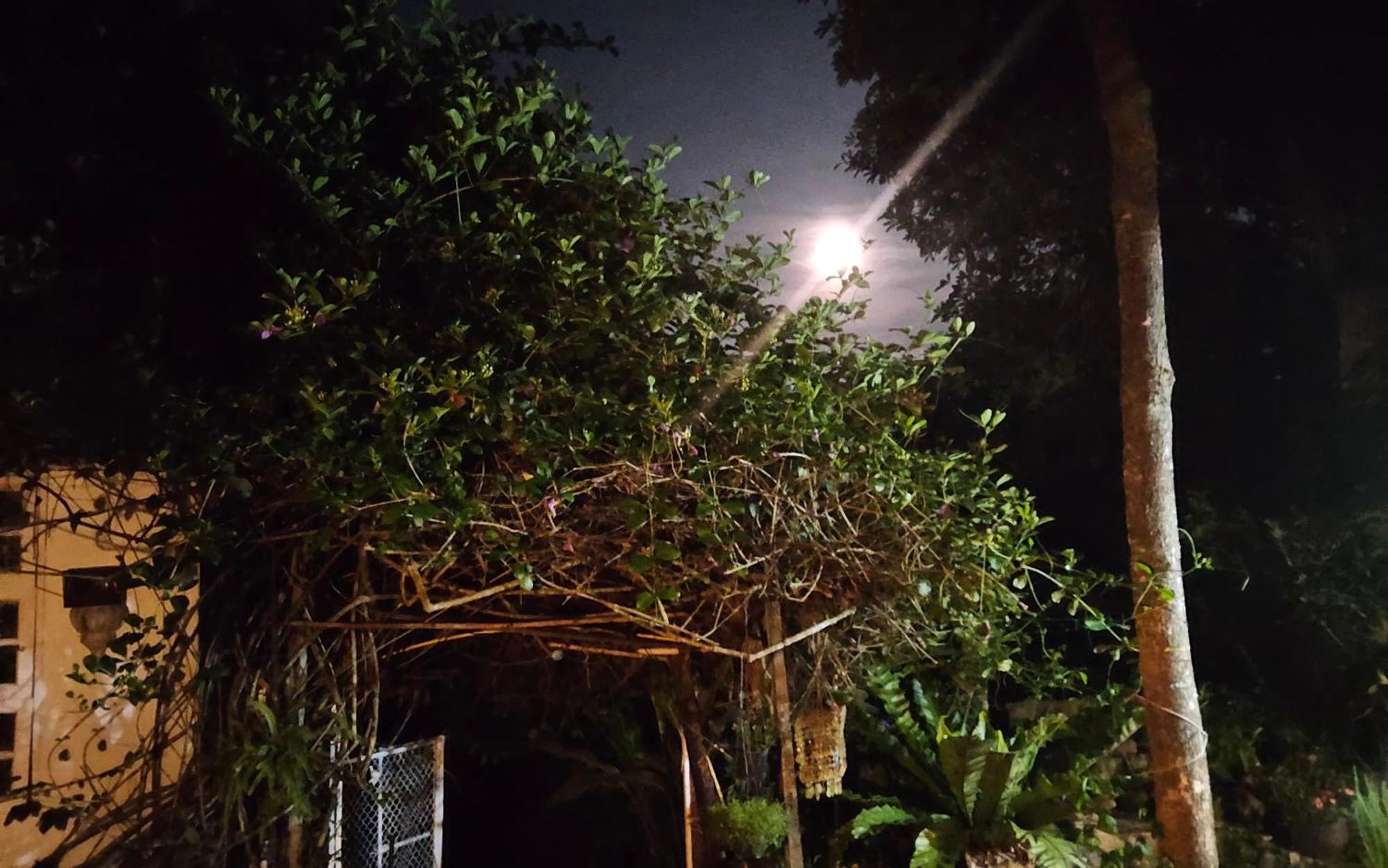 Balmy Hideout Cafe & Homestay Ban Huai Kaeo Buitenkant foto