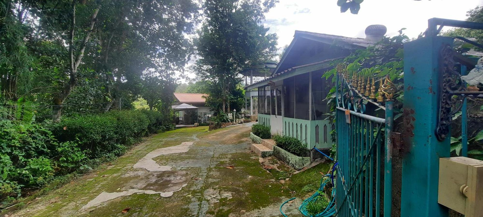 Balmy Hideout Cafe & Homestay Ban Huai Kaeo Buitenkant foto