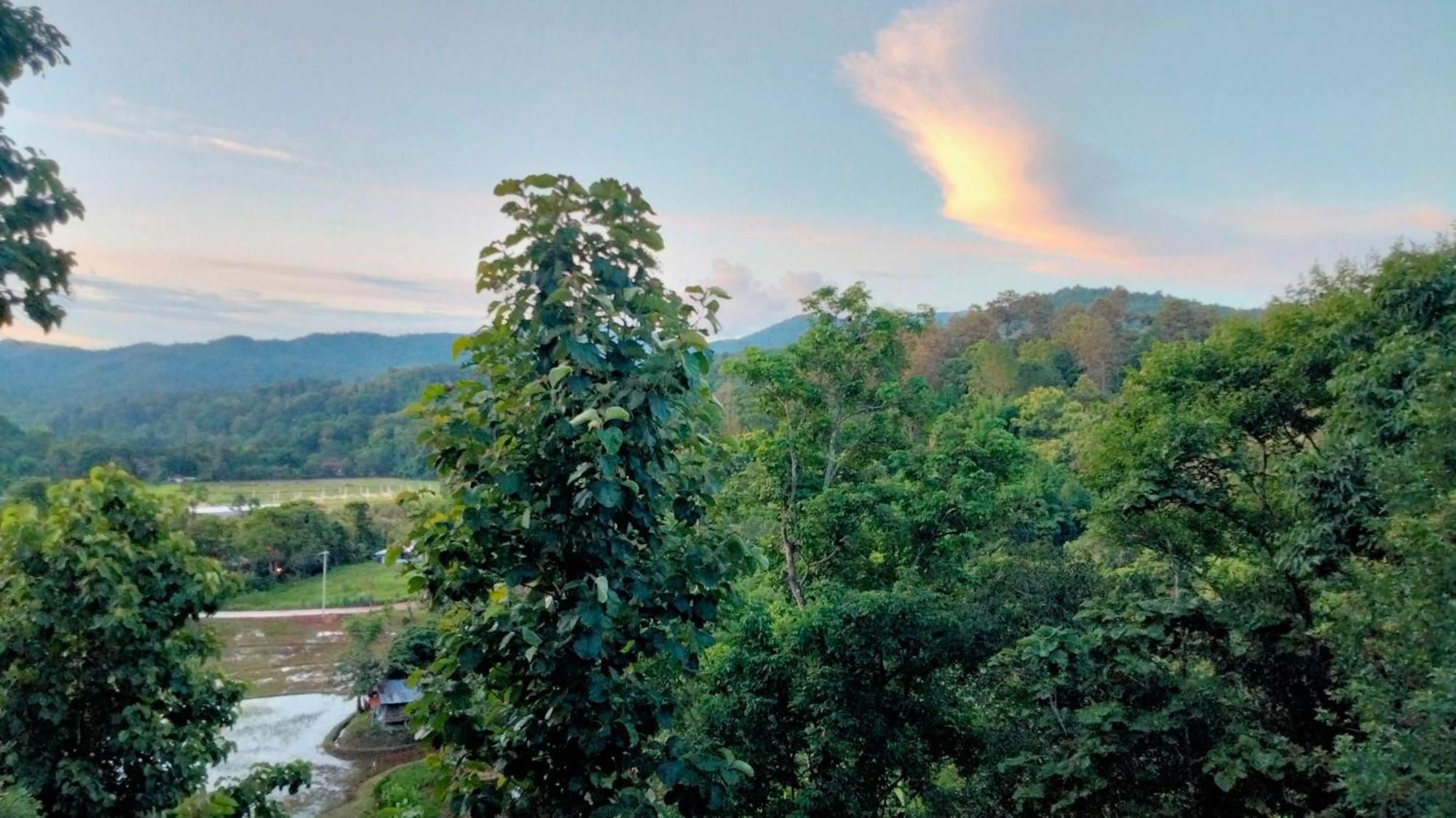 Balmy Hideout Cafe & Homestay Ban Huai Kaeo Buitenkant foto