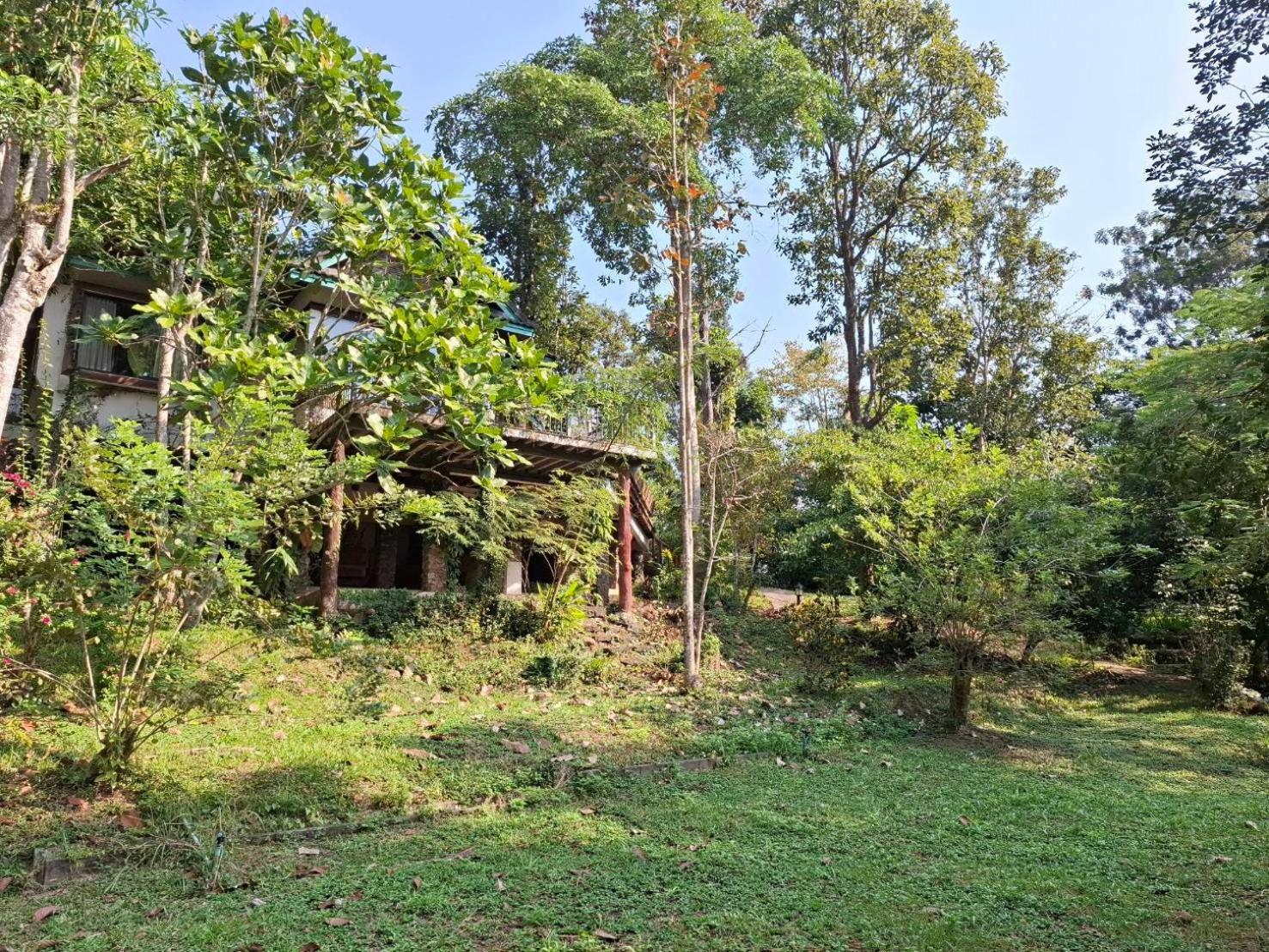 Balmy Hideout Cafe & Homestay Ban Huai Kaeo Buitenkant foto