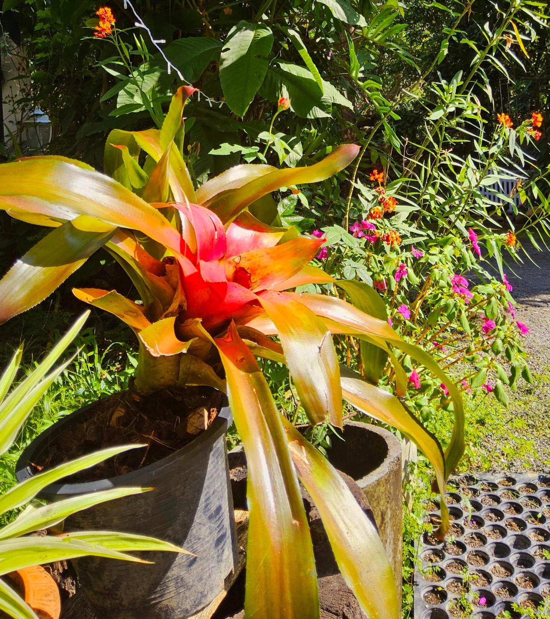 Balmy Hideout Cafe & Homestay Ban Huai Kaeo Buitenkant foto